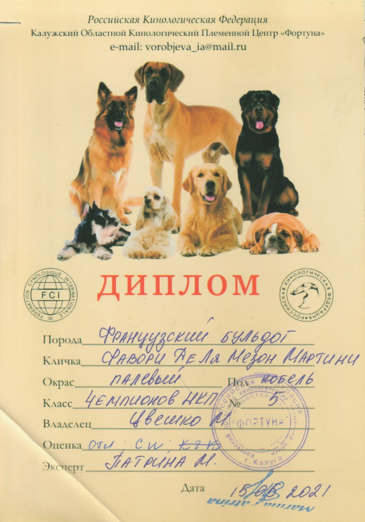 Расписание выставок московских сторожевых на 2020 год - монопородные выставки НКП - все даты в одном месте! Расписание выставок московских сторожевых на 2020 год - монопородные выставки НКП - все даты в одном месте!