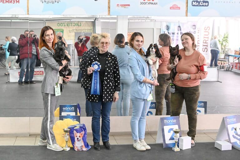 Выставка собак 26 октября. На выставке собак. выставка щенков. выставки в москве. выставки в москве в марте 2025.