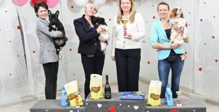Расстановка призёров конкурса лучших юниоров выставки «Зимний вечер»: французский бульдог CINQ ÉTOILES D'OR SHANEL на втором месте