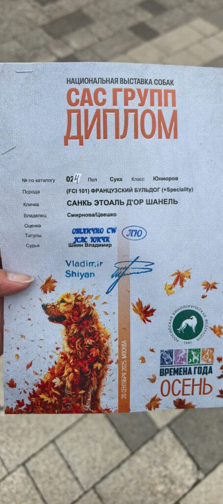 Диплом французского бульдога CINQ ÉTOILES D'OR SHANEL с национальной выставки «Времена года — Осень»