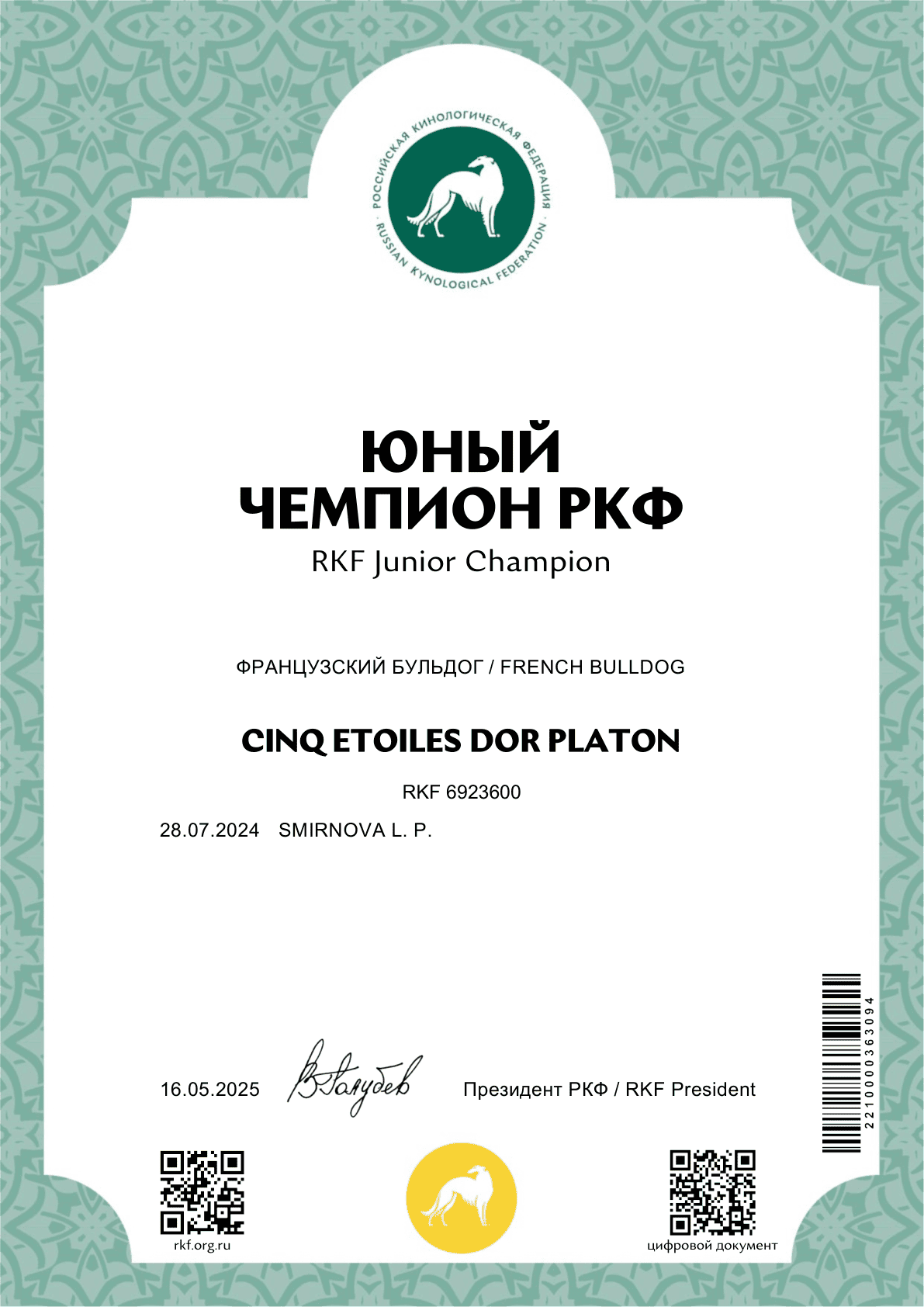 Сертификат «Юный чемпион РКФ» на имя CINQ ETOILES DOR PLATON