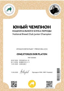 Сертификат «Юный чемпион НКП» на имя CINQ ETOILES DOR PLATON