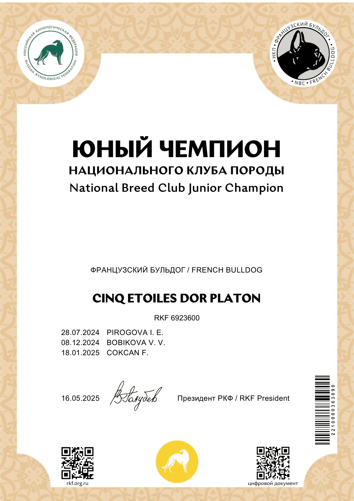 Сертификат «Юный чемпион НКП» на имя CINQ ETOILES DOR PLATON