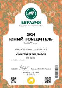 Сертификат «Юный победитель Евразии 2024» на имя CINQ ETOILES DOR PLATON