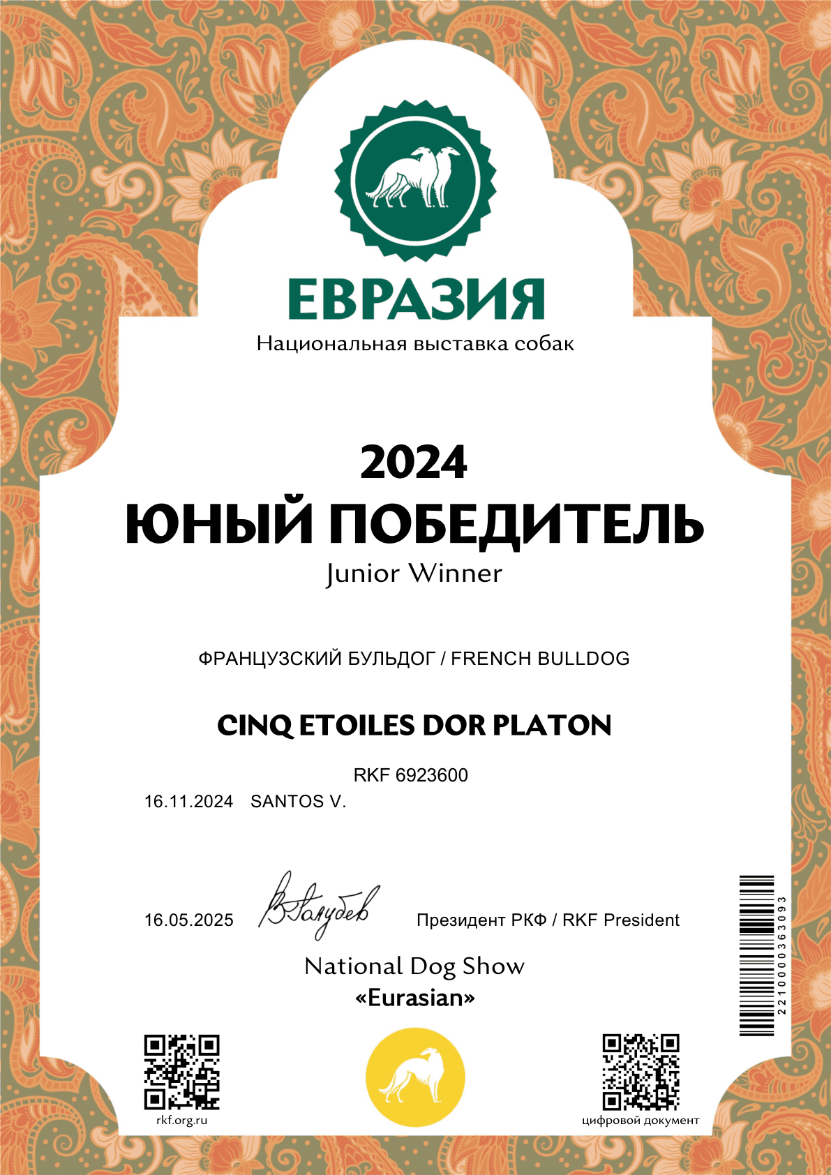 Сертификат «Юный победитель Евразии 2024» на имя CINQ ETOILES DOR PLATON