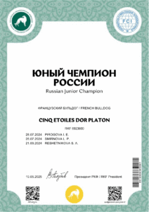 Сертификат «Юный чемпион России» на имя CINQ ETOILES DOR PLATON
