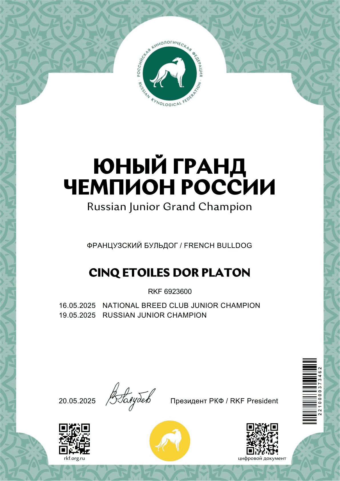 Сертификат «Юный гранд чемпион России» на имя CINQ ETOILES DOR PLATON