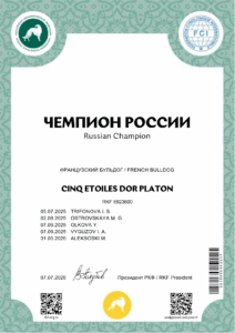 Сертификат «Чемпион России» на имя CINQ ETOILES DOR PLATON