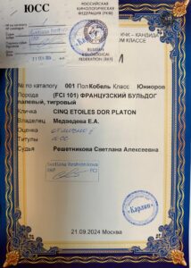 Выставочный материал Платона: 21.09.2024 — Монопородная выставка французских бульдогов