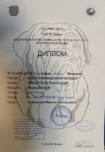 Выставочный материал Платона: 21.09.2024 — РОО КК «Карлин», «Яркий сентябрь»