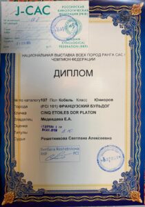 Выставочный материал Платона: 21.09.2024 — РОО КК «Карлин», «Осенние встречи»