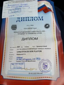 Выставочный материал Платона: 29.06.2025 — РОО ОЛСБП «Бриз», монопородная выставка КЧК