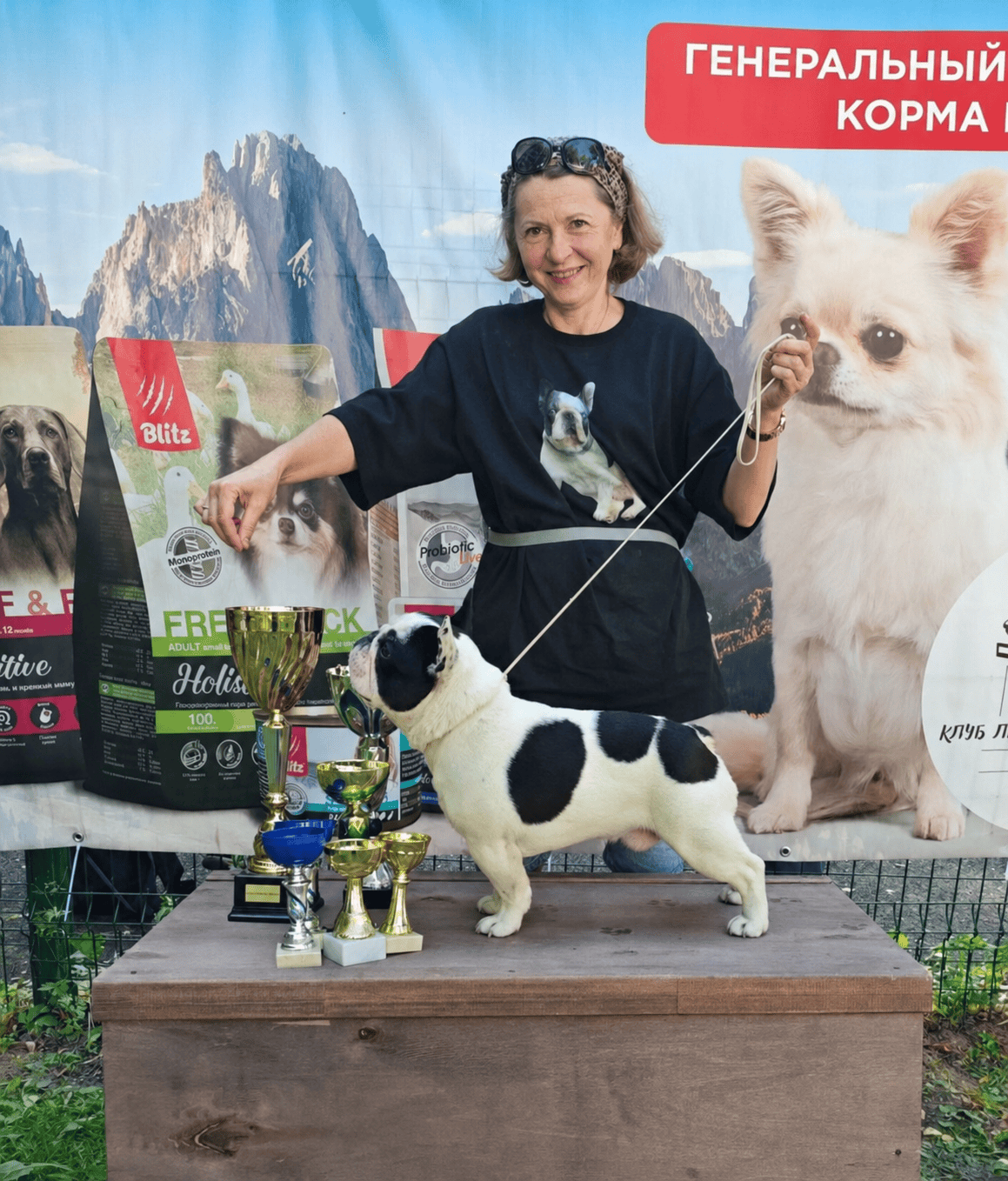Бело-пятнистый французский бульдог CINQ ÉTOILES D'OR BARBARIS в стойке с кубками на выставке «Лето в Сергиевом Посаде» 2026
