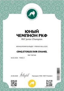 Диплом юного чемпиона РКФ на имя CINQ ÉTOILES D'OR SHANEL