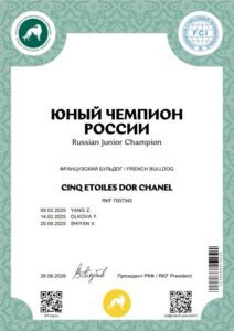 Диплом юного чемпиона России на имя CINQ ÉTOILES D'OR SHANEL