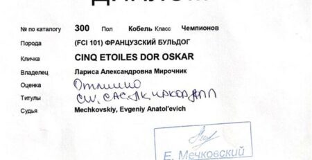 Диплом Оскара, выставка ранга ЧРКФ, Горно-Алтайск, 5 сентября 2026