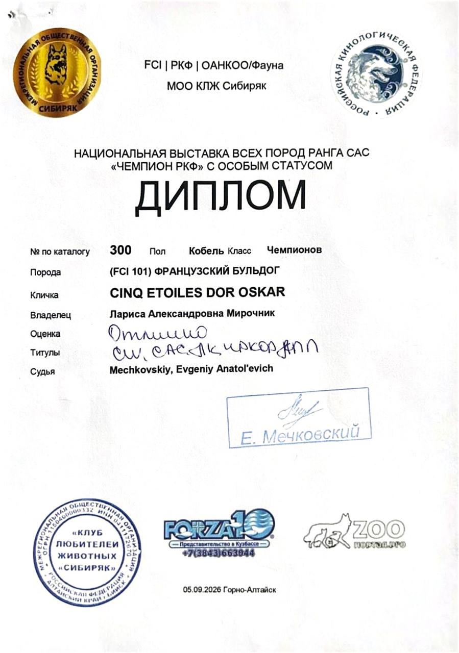 Диплом Оскара, выставка ранга ЧРКФ, Горно-Алтайск, 5 сентября 2026