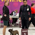 Оскар в стойке в ринге выставки Siberian Winner-2025, Новосибирск