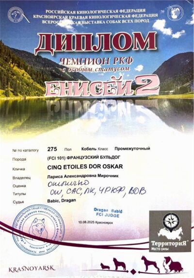 Диплом Оскара, выставка «Енисей 2», Красноярск, 10 августа 2025