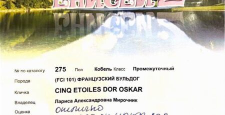 Диплом Оскара, выставка «Енисей 2», Красноярск, 10 августа 2025