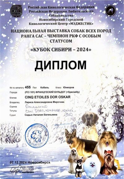 Диплом Оскара, выставка «Кубок Сибири-2024», Новосибирск, 7 декабря 2024