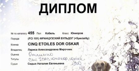 Диплом Оскара, выставка «Кубок Сибири-2024», Новосибирск, 7 декабря 2024