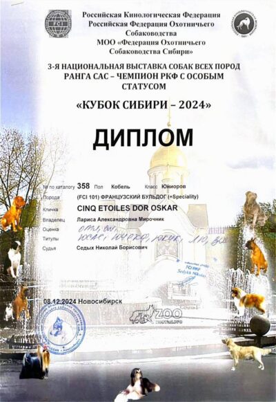 Диплом Оскара, 3-я национальная выставка «Кубок Сибири-2024», Новосибирск, 8 декабря 2024