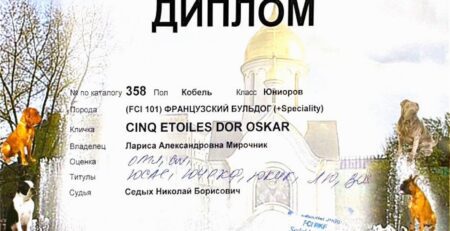 Диплом Оскара, 3-я национальная выставка «Кубок Сибири-2024», Новосибирск, 8 декабря 2024