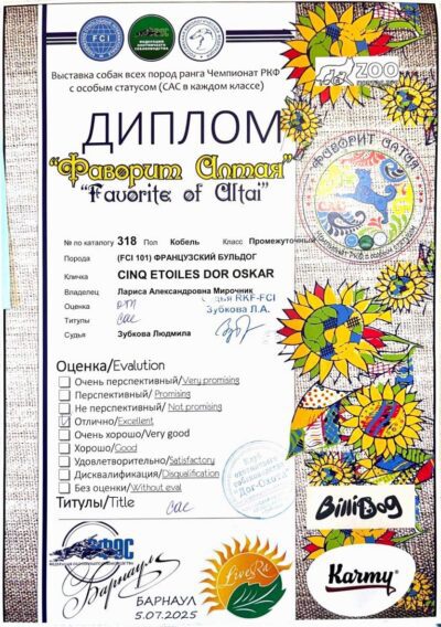 Диплом Оскара, выставка «Фаворит Алтая-2025», Барнаул, 5 июля 2025