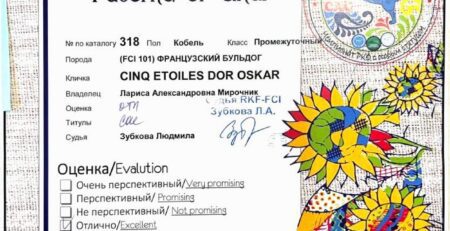 Диплом Оскара, выставка «Фаворит Алтая-2025», Барнаул, 5 июля 2025