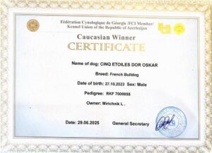 Сертификат Caucasian Winner, CINQ ÉTOILES D'OR OSKAR