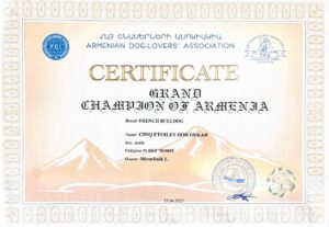 Сертификат гранд чемпиона Армении, CINQ ÉTOILES D'OR OSKAR