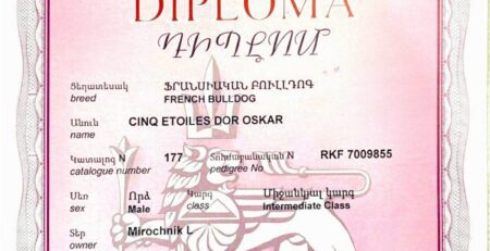 Диплом Оскара, международная выставка SUMMER 2025, Ереван, 23 июня 2025
