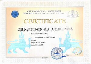 Сертификат чемпиона Армении, CINQ ÉTOILES D'OR OSKAR