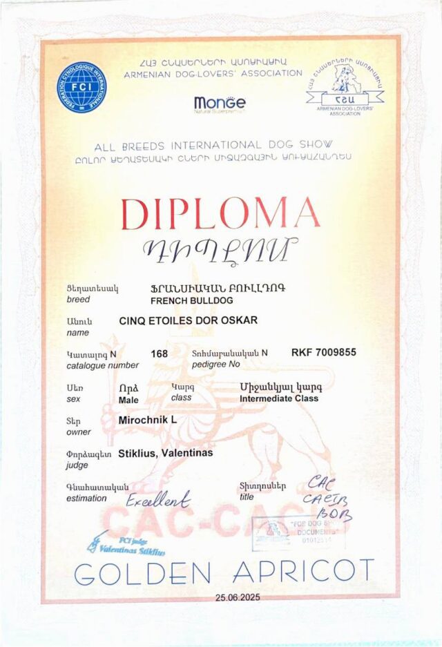 Диплом Оскара, международная выставка GOLDEN APRICOT, Ереван, 25 июня 2025