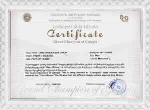 Сертификат гранд чемпиона Грузии, CINQ ÉTOILES D'OR OSKAR