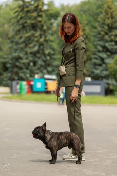 Гера бежит по рингу рядом с хендлером