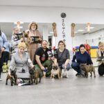 Участники ринга памяти с французскими бульдогами и табличками с портретом Елены Борисовны в зале хендлинг-центра Zoosport