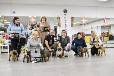 Участники ринга памяти с французскими бульдогами и табличками с портретом Елены Борисовны в зале хендлинг-центра Zoosport