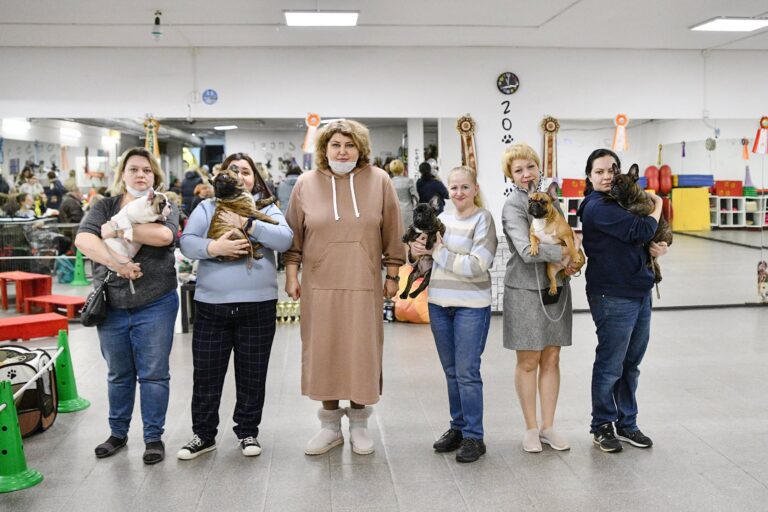 Шесть участниц ринга памяти держат на руках французских бульдогов разных окрасов в зале хендлинг-центра