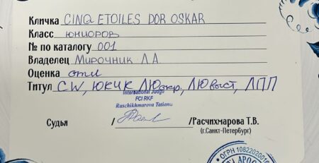 Диплом монопородной выставки «Звёзды Алтая-2025» и сертификат ЮКЧК