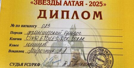 Диплом выставки «Звёзды Алтая-2025» ранга САС
