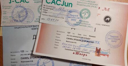 Юниорские сертификаты J-CAC и CACJun, полученные в этот день