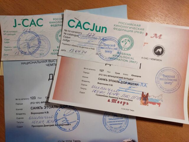 Юниорские сертификаты J-CAC и CACJun, полученные в этот день