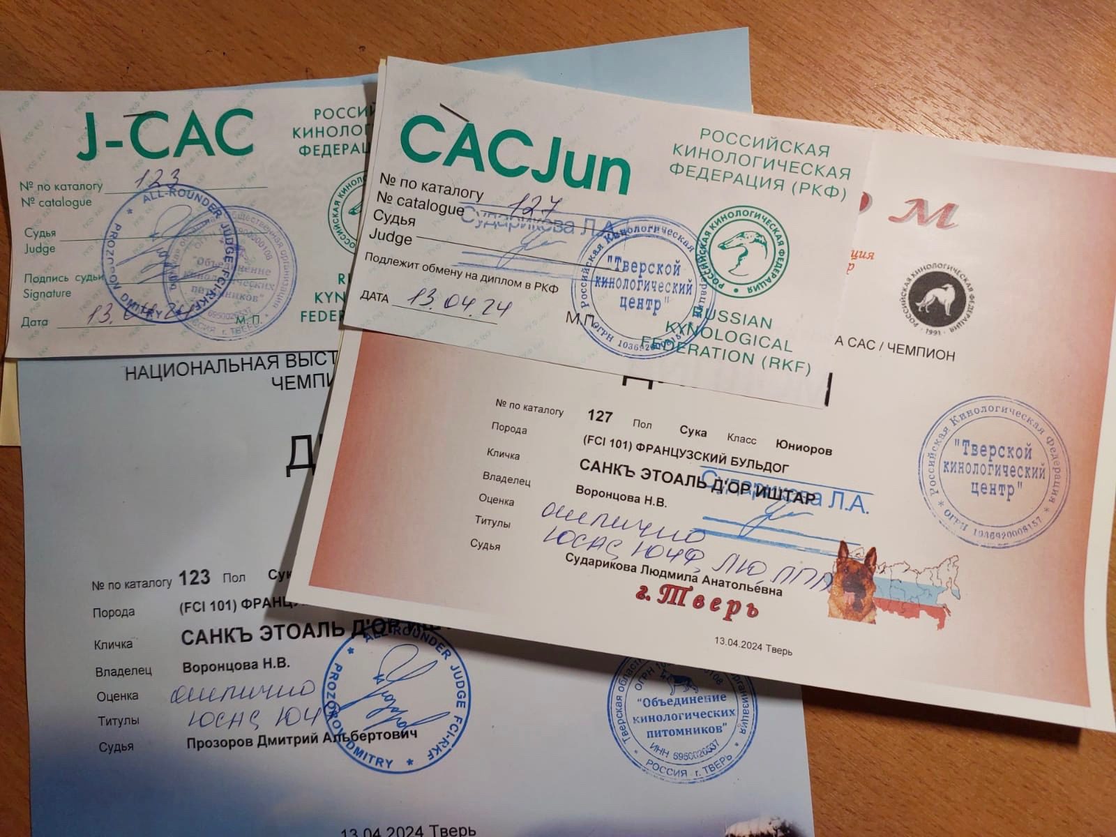 Юниорские сертификаты J-CAC и CACJun, полученные в этот день