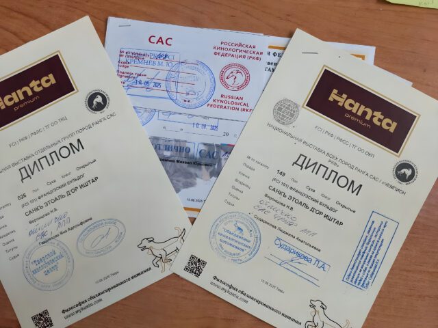 Два диплома и сертификат САС, полученные за один день