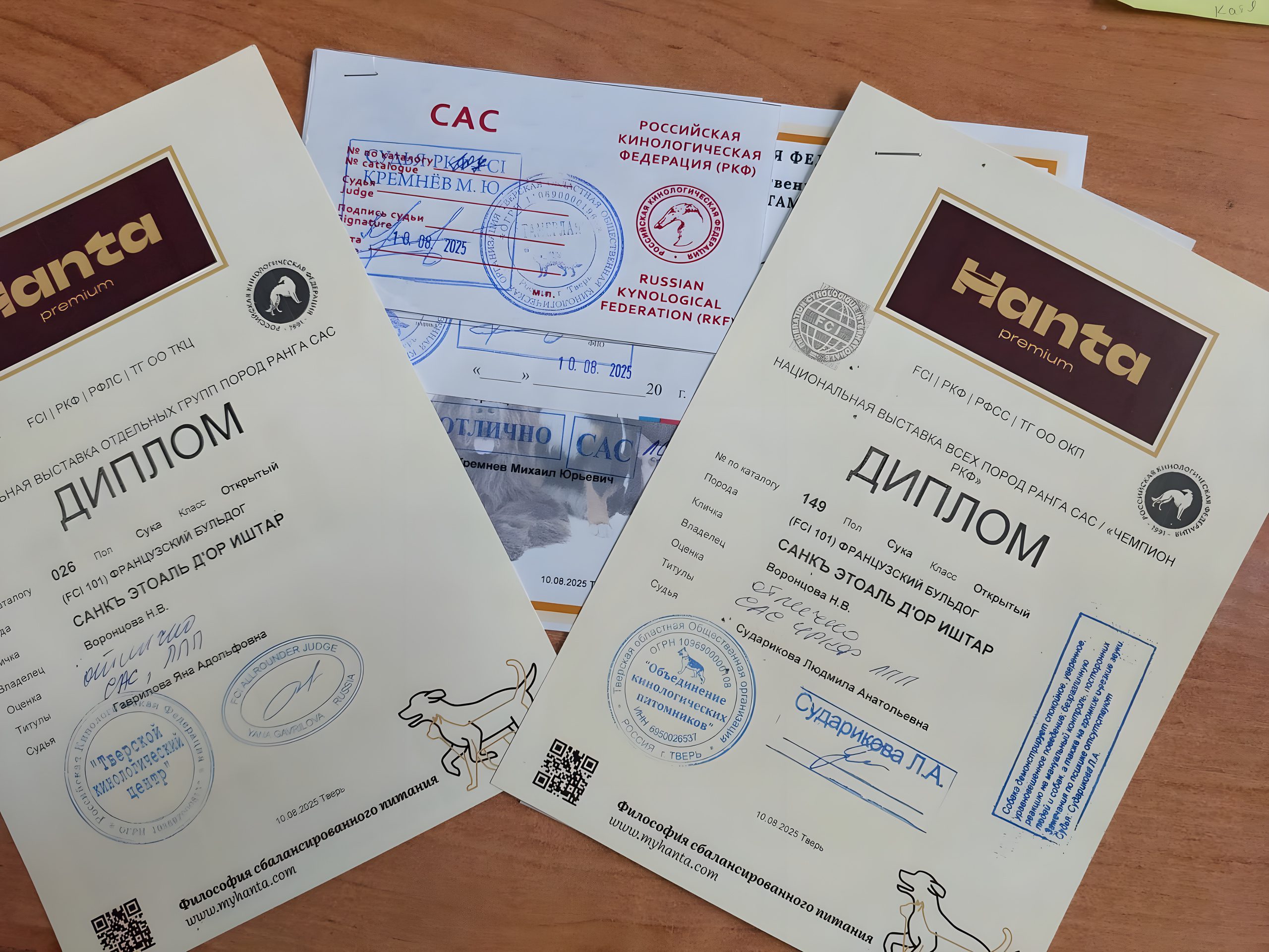 Два диплома и сертификат САС, полученные за один день