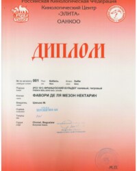 [STORY]-[NECTARINE]-[07.01.2020]-[МОНО]-ООО КЦ Элита-Москва-Богуслав Хмель
