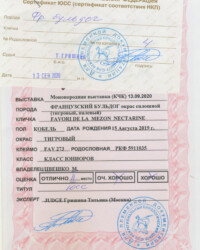 [STORY]-[NECTARINE]-[13.09.2020]-[МОНО]-МКЦ Русь-МО, Королев-Гришина Татьяна