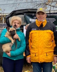 Французский бульдог UMMA на выставке, САС, Тверь, октябрь 2020